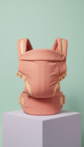 Ergonomic Baby Carrier Breathable Mesh